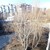 Продам двухкомнатную (2-комн.) квартиру, Панфиловцев ул, 35, Барнаул г