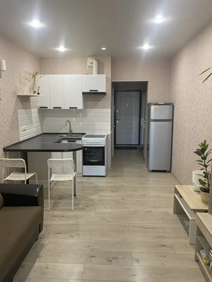 Продам однокомнатную (1-комн.) квартиру, Ленина ул, 173ак5, Анапа г
