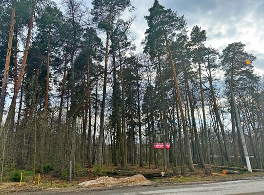 Продам участок 17 соток, ИЖС, 2а, Скурыгино д, 0 км от города