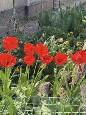 Продам трехкомнатную (3-комн.) квартиру, Генерал-майора П.П.Яременко ул, 32, Симферополь г