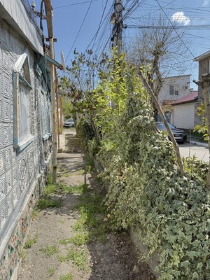 Продам трехкомнатную (3-комн.) квартиру, Генерал-майора П.П.Яременко ул, 32, Симферополь г