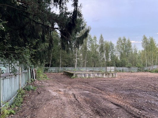 Продам участок 29,68 соток, Фермерское хоз., СНТ Лесная сказка тер, Ананьино д, 0 км от города