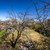 Продам участок 3,5 соток, Фермерское хоз., 33-я Улица коллективных садов ул, 141, Симферополь г, 0 км от города