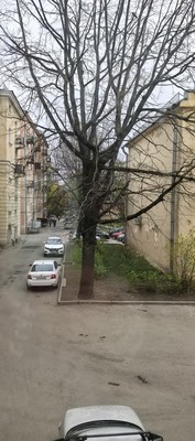 Продам комнату в 4-комн. квартире, Большеохтинский пр-кт, 25/5, Санкт-Петербург г