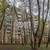 Продам двухкомнатную (2-комн.) квартиру, 16-я Парковая ул, 27, Москва г