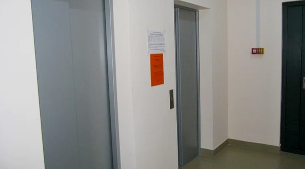 Сдам однокомнатную (1-комн.) квартиру, Стрельнинская ул, 6акГамма, Новоселье гп