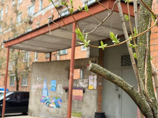Продам однокомнатную (1-комн.) квартиру, Белинского ул, 89, Нижний Новгород г