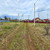 Продам участок 6 соток, Фермерское хоз., КП Караськина Охота тер, Тверитино д, 0 км от города