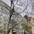 Продам трехкомнатную (3-комн.) квартиру, Гражданский пр-кт, 90Ак1, Санкт-Петербург г