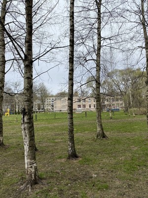 Продам трехкомнатную (3-комн.) квартиру, Гражданский пр-кт, 90Ак1, Санкт-Петербург г