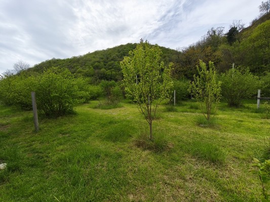 Продам землю для коммерческого использования 13 соток, Фермерское хоз., Агой с