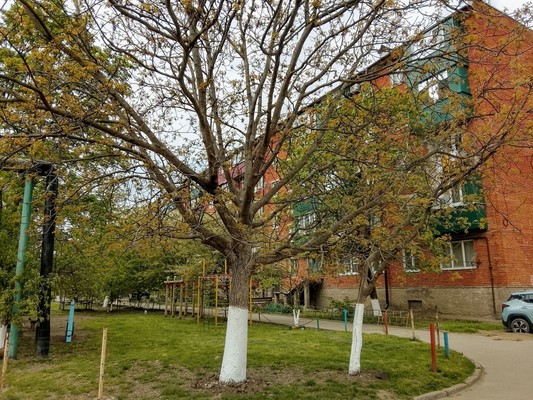Продам однокомнатную (1-комн.) квартиру, Свободы ул, 417кА, Майкоп г