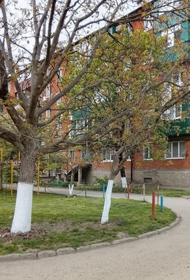 Продам однокомнатную (1-комн.) квартиру, Свободы ул, 417кБ, Майкоп г