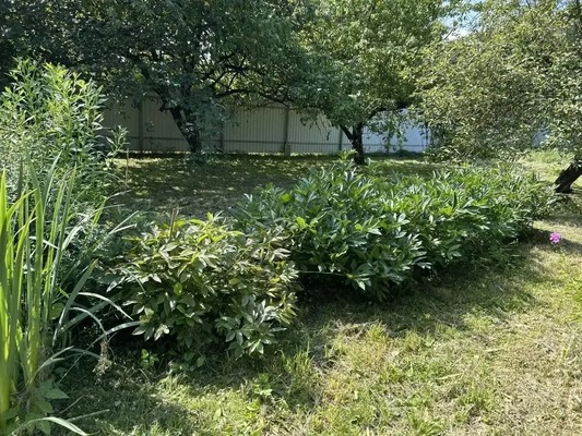 Продам дом, 7/5, СНТ Березки тер, 0 км от города