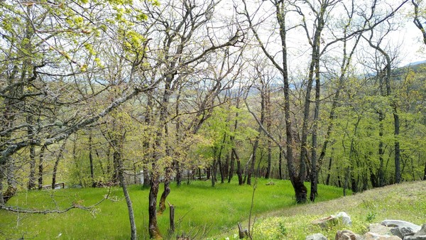 Продам участок 25 соток, ИЖС, Сергия Радонежского ул, Лаванда п, 0 км от города