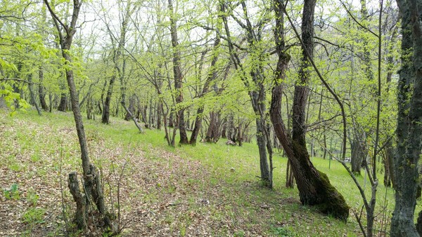 Продам участок 25 соток, ИЖС, Сергия Радонежского ул, Лаванда п, 0 км от города