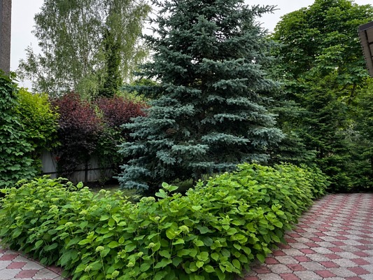 Продам коттедж, Профессора Арефьева ул, Турейка д, 0 км от города
