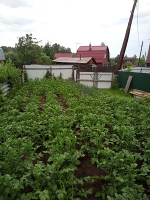 Продам дачу, Солнечная долина тер. СНТ, 0 км от города