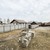 Продам дом, Кленовая ул, 2, Бердск г, 0 км от города
