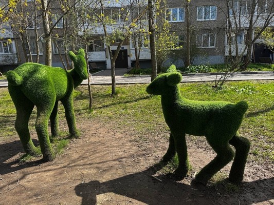 Продам двухкомнатную (2-комн.) квартиру, ДСПК Кленово тер, 1, Кленово с