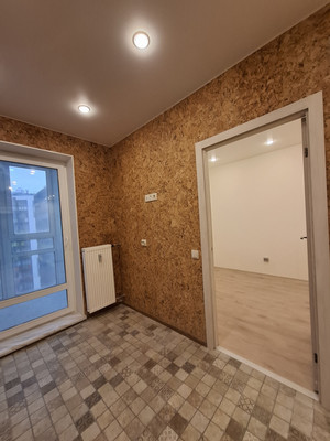 Продам однокомнатную (1-комн.) квартиру, Старорусский пр-кт, 11, Шушары п