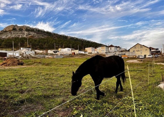 Продам дом, Дорожная ул, СПК Надежда тер., 0 км от города