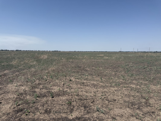 Продам участок 6 соток, ИЖС, Брянская ул, 42, Волгодонск г, 0 км от города