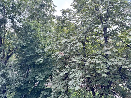 Продам многокомнатную квартиру, Бочкова ул, 5, Москва г
