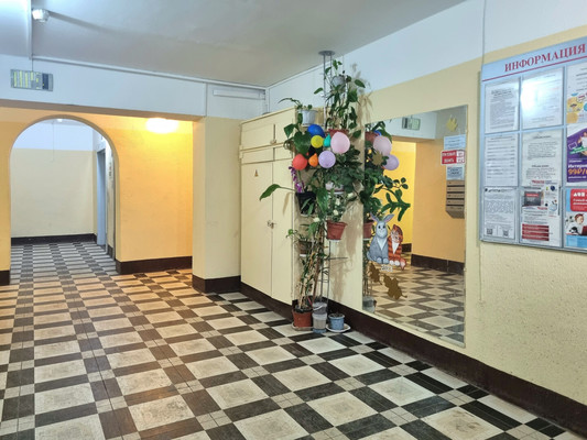 Продам однокомнатную (1-комн.) квартиру, Маршала Блюхера пр-кт, 49, Санкт-Петербург г