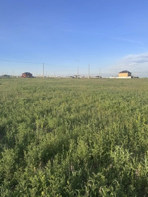 Продам участок 12 соток, ИЖС, Брянская ул, 23, Волгодонск г, 0 км от города