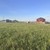 Продам участок 6 соток, ИЖС, Курская ул, 24, Волгодонск г, 0 км от города