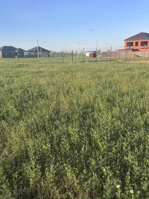 Продам участок 6 соток, ИЖС, Курская ул, 24, Волгодонск г, 0 км от города