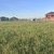 Продам участок 6 соток, ИЖС, Курская ул, 24, Волгодонск г, 0 км от города