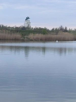 Продам участок 9 соток, Фермерское хоз., Строителей пр-кт, Волгодонск г, 0 км от города
