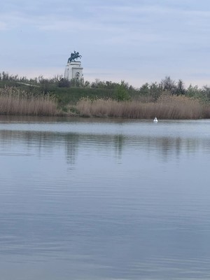 Продам участок 9 соток, Фермерское хоз., Строителей пр-кт, Волгодонск г, 0 км от города