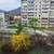 Продам двухкомнатную (2-комн.) квартиру, Ленина ул, 22, Фокино г
