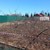 Продам участок 4 соток, ИЖС, Крекшино п, 0 км от города
