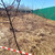 Продам участок 4 соток, ИЖС, Крекшино п, 0 км от города
