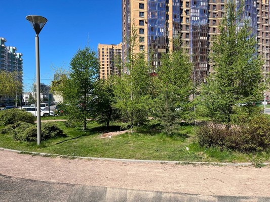 Продам однокомнатную (1-комн.) квартиру, Маршала Блюхера пр-кт, 9к1, Санкт-Петербург г
