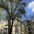 Продам трехкомнатную (3-комн.) квартиру, Грузинский Вал ул, 26,с.1, Москва г