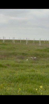 Продам участок 12 соток, Фермерское хоз., Школьное п, 0 км от города
