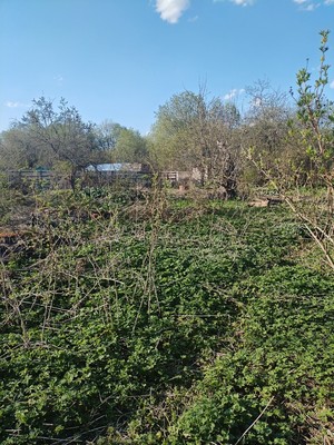 Продам участок 7,2 соток, Фермерское хоз., Энергетик-3 гск, Алексин г, 0 км от города