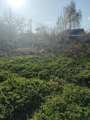Продам участок 7,2 соток, Фермерское хоз., Энергетик-3 гск, Алексин г, 0 км от города