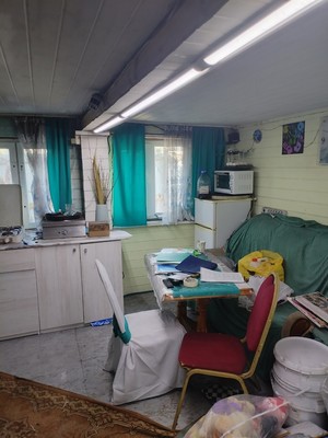 Продам дом, Уголек снт, 60, Кудашевка д, 0 км от города