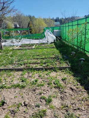 Продам дом, Уголек снт, 60, Кудашевка д, 0 км от города