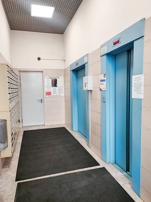 Продам однокомнатную (1-комн.) квартиру, Камышовая ул, 38к1, Санкт-Петербург г