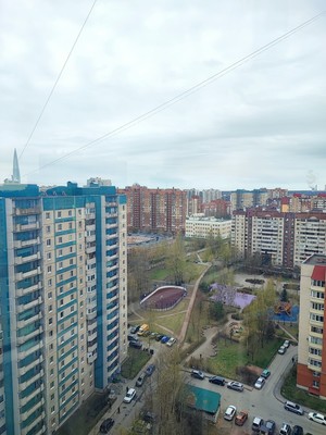 Продам однокомнатную (1-комн.) квартиру, Камышовая ул, 38к1, Санкт-Петербург г
