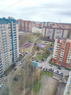 Продам однокомнатную (1-комн.) квартиру, Камышовая ул, 38к1, Санкт-Петербург г