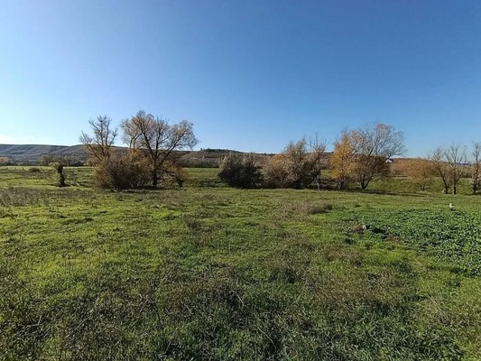 Продам участок 600 соток, Фермерское хоз., Колхозная ул, Николаевка пгт, 0 км от города