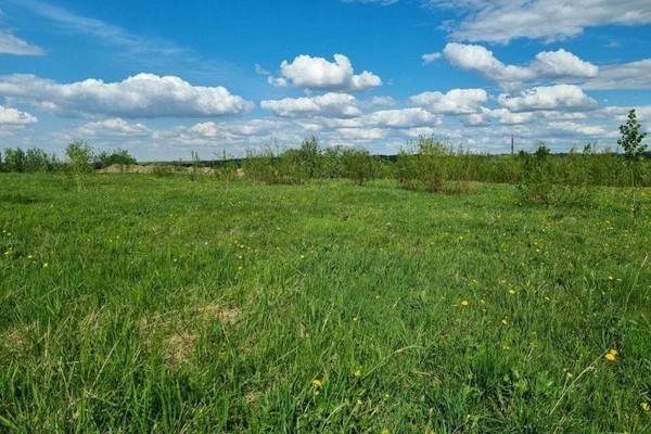 Продам участок 600 соток, Фермерское хоз., Колхозная ул, Николаевка пгт, 0 км от города